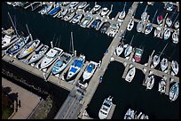 Aerial view of yachts in harbor. Monterey, California, USA ( color)