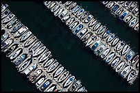 Aerial view of rows of yachts. Monterey, California, USA ( color)