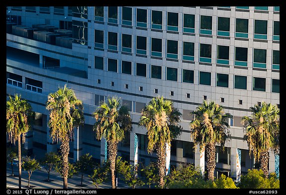 Palm trees, and Adobe building from above. San Jose, California, USA (color)