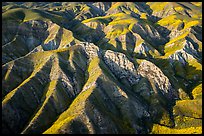 Aerial view of Temblor Range ridges in springtime. Carrizo Plain National Monument, California, USA ( color)