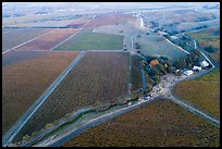 Aerial view of barns and  vineyards in autumn. Livermore, California, USA ( color)