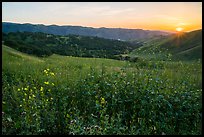Spring Sunset over Del Valle Regional Park. Livermore, California, USA ( color)