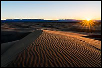 Sun setting over Cadiz Sand Dunes. Mojave Trails National Monument, California, USA ( color)