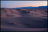 Dune ridges and Shiphole Mountains at dusk, Cadiz Dunes. Mojave Trails National Monument, California, USA ( color)