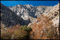 San Jacinto Peak escarpment from Chino Canyon. Santa Rosa and San Jacinto Mountains National Monument, California, USA ( color)