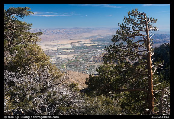 Coachella Valley seen from Mountain Station. Santa Rosa and San Jacinto Mountains National Monument, California, USA (color)