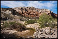 Mojave River and Afton Canyon palissades. Mojave Trails National Monument, California, USA ( color)