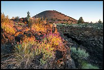Wildflowers, Big Painted Cave entrance and Schonchin Butte at sunrise. Lava Beds National Monument, California, USA ( color)