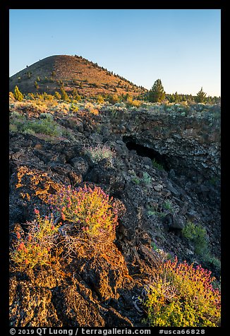 Wildflowers, Big Painted Cave entrance and Schonchin Butte. Lava Beds National Monument, California, USA