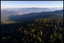 Aerial View of forest and mountains. Giant Sequoia National Monument, Sequoia National Forest, California, USA ( color)