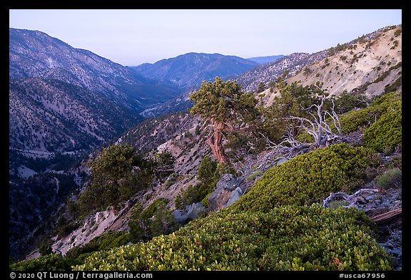 San Antonio Canyon from Mt Baldy at dawn. San Gabriel Mountains National Monument, California, USA (color)