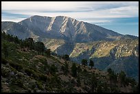Mt Baldy from Blue Ridge. San Gabriel Mountains National Monument, California, USA ( color)