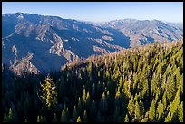 Aerial view of Converse Basin with Boole Tree and Kings Canyon. Giant Sequoia National Monument, Sequoia National Forest, California, USA ( color)
