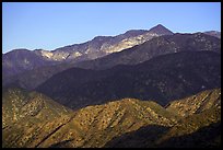 Twin Peaks, early morning. San Gabriel Mountains National Monument, California, USA ( color)