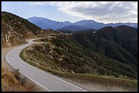 Glendora Ridge Road. San Gabriel Mountains National Monument, California, USA ( color)