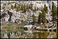 Cliffs and trees reflected in Mirror Lake, Inyo National Forest. California, USA ( color)