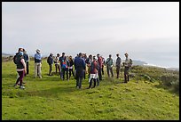 Group on edge of grassy terrace above the Pacific Ocean. Cotoni-Coast Dairies Unit, California Coastal National Monument, California, USA ( color)