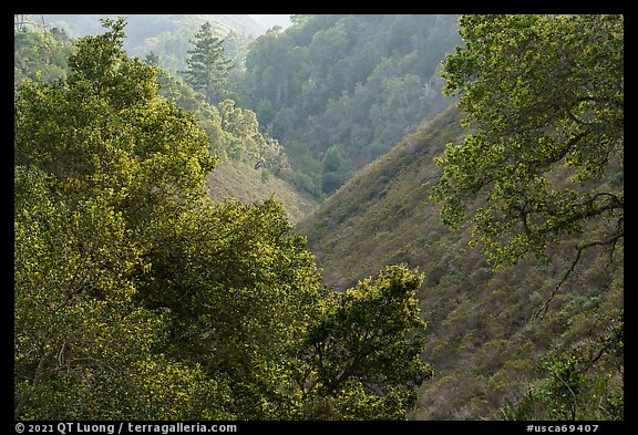 Steep ravine. Cotoni-Coast Dairies Unit, California Coastal National Monument, California, USA