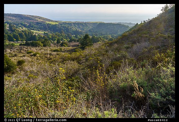 Mix of grasslands, scrublands, woodlands, and forests on hillside slopes. Cotoni-Coast Dairies Unit, California Coastal National Monument, California, USA