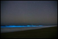 Bioluminescence in surf. Point Reyes National Seashore, California, USA ( color)