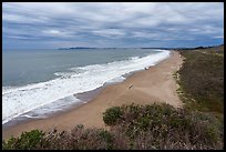 Coastline and Drake Bay. Point Reyes National Seashore, California, USA ( color)