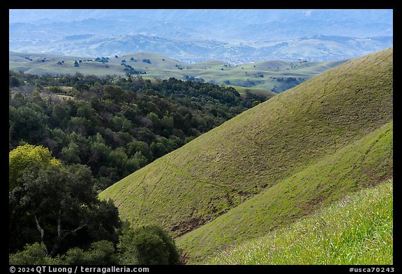Evergreen hills in the spring. San Jose, California, USA (color)