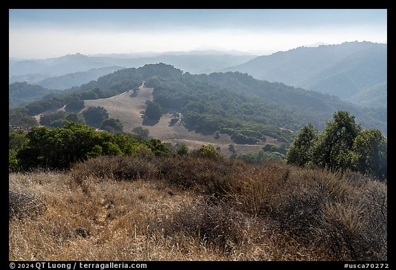 Forested hills, Calero County Park. California, USA (color)
