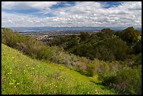 Wildflowers, Silicon Valley, and snowy hills, Fremont Older Preserve. California, USA ( color)