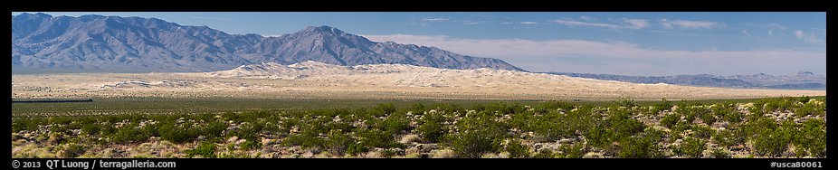 Vast Kelso Sand Dune field. Mojave National Preserve, California, USA