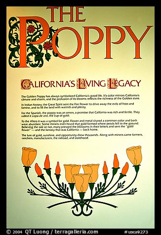 Sign about the California Poppy. Antelope Valley, California, USA (color)