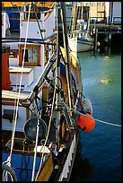 Fishing boat anchored in  Fisherman's Wharf. San Francisco, California, USA (color)