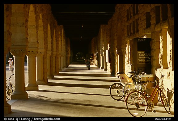 Hallway and bicycles. Stanford University, California, USA