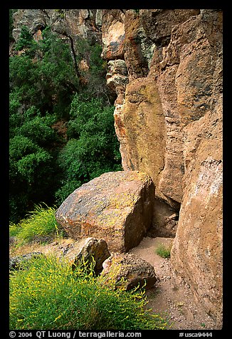 Volcanic rock cliffs. Pinnacles National Park (color)