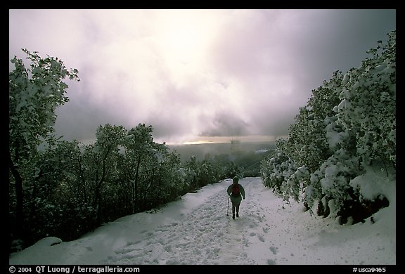 Summit trail after a snow-storm, Mt Diablo State Park. California, USA