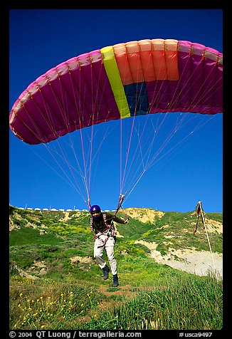 Paraglider launching, the Dumps, Pacifica. San Mateo County, California, USA