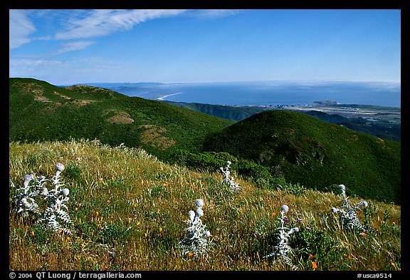 Montara Mountain and Pacific coast. San Mateo County, California, USA