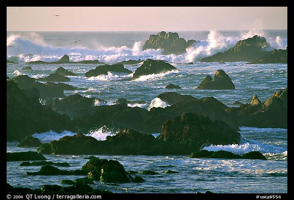 Surf and rocks, Ocean drive. Pacific Grove, California, USA (color)
