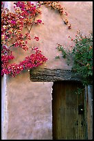 Flowers and wall, Carmel Mission. Carmel-by-the-Sea, California, USA ( color)