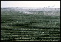 Mist and plowed field, San Joaquin Valley. California, USA ( color)