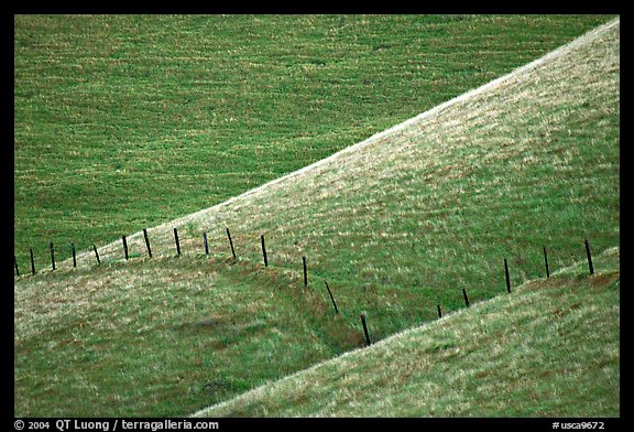 Fence on hill, Southern Sierra Foothills. California, USA (color)
