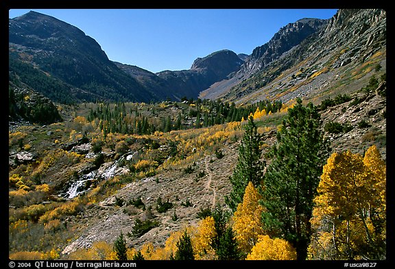 Valley in autumn, Lundy Canyon, Inyo National Forest. California, USA (color)