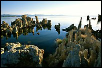 Tufa formations, South Tufa area, early morning. Mono Lake, California, USA