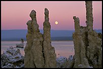 Tufa towers and moonrise, dusk. Mono Lake, California, USA