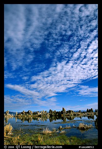 Clouds and Tufa towers, morning. Mono Lake, California, USA (color)