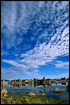 Clouds and Tufa towers, morning. Mono Lake, California, USA