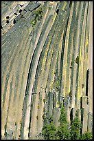 Columns of  basalt, afternoon,  Devils Postpile National Monument. California, USA
