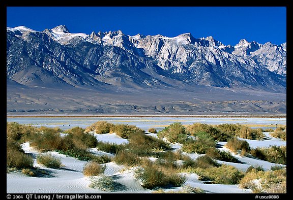 Sierra Nevada mountains rising abruptly above Owens Valley. California, USA (color)