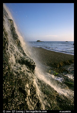 Alamere Falls, afternoon. Point Reyes National Seashore, California, USA (color)