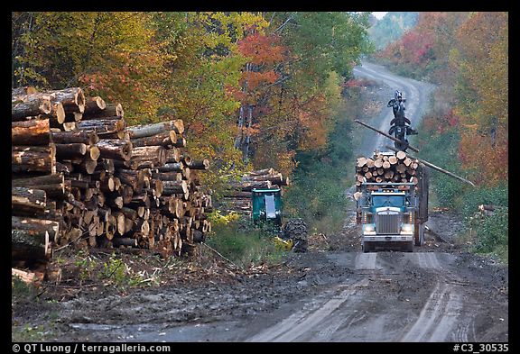 » The Maine North Woods from QT Luong's Blog