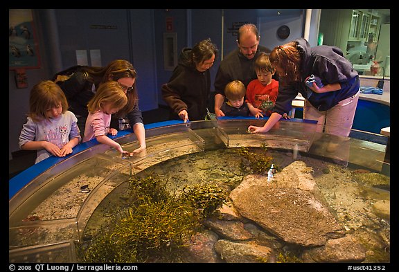 Touch pool exhibit, Mystic aquarium. Mystic, Connecticut, USA